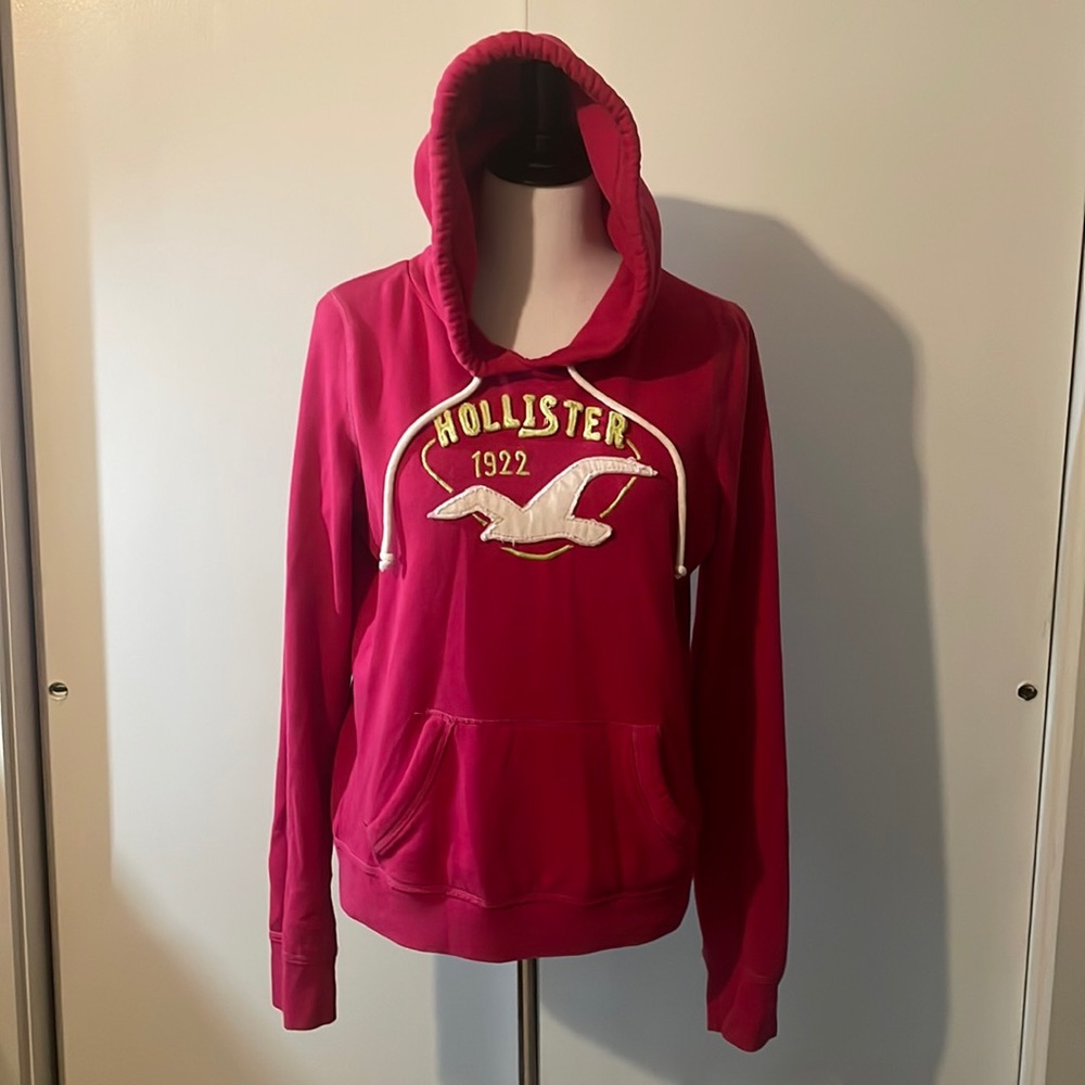 Hollister Hoodie